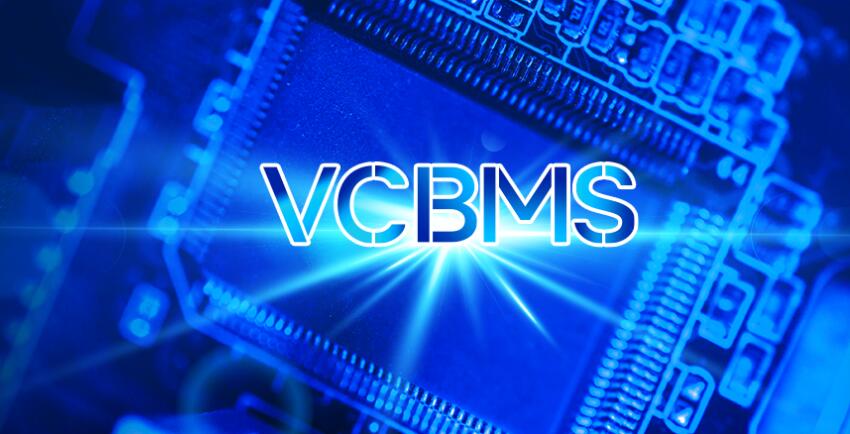 VCBMS日本VPS推荐 – 原生IP价格便宜插图