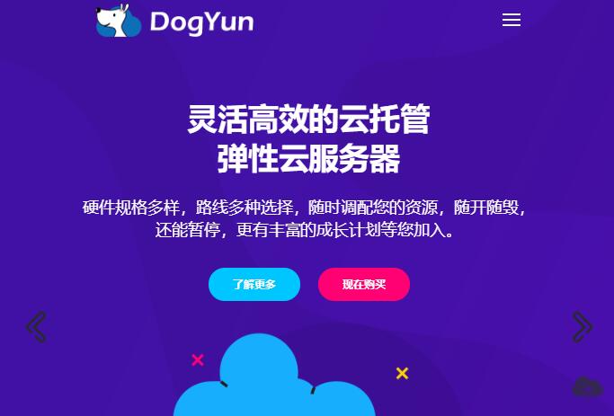 简单的评测一下狗云(dogyun)德国CUII路线的云服务器插图