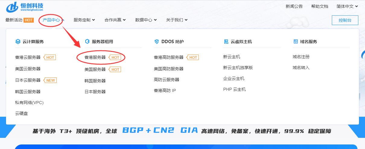 恒创主机：香港站群服务器推荐 – 253个多IP支持插图3