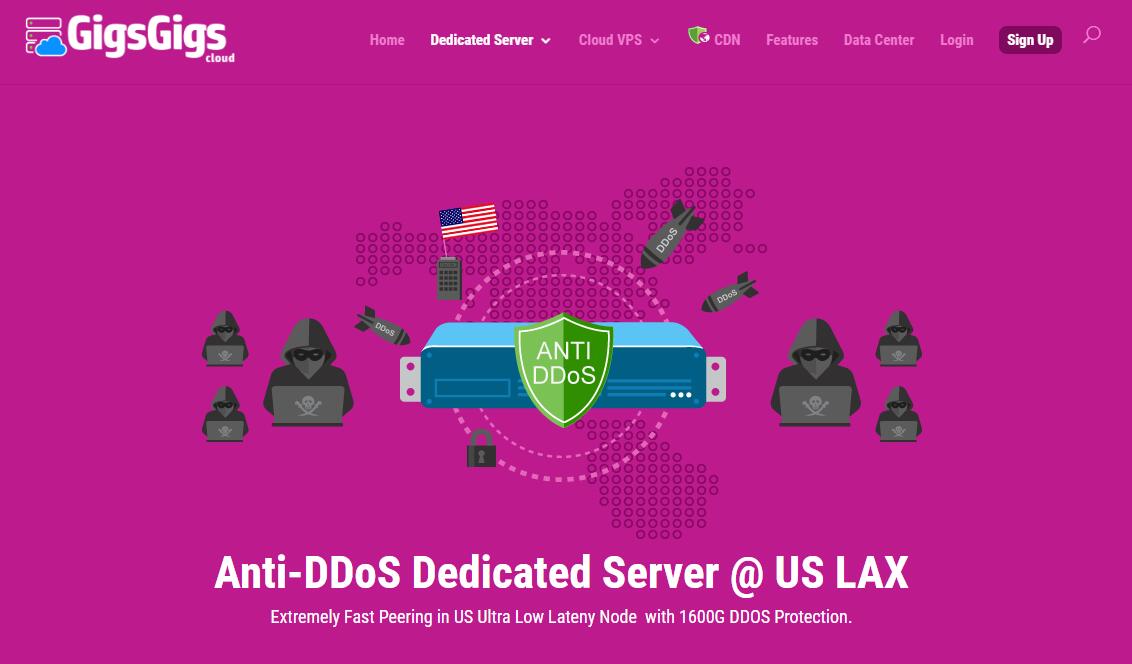 GigsGigs的便宜美国独立服务器推荐 – CN2 GIA无限流量/免费防DDoS攻击保护插图