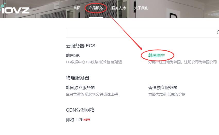 iOVZ韩国VPS怎么样测评介绍 – 原生IP插图7