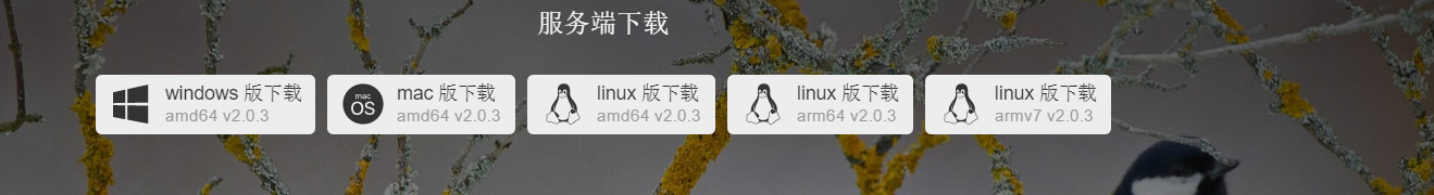 IfileSpace -多用户网盘列表 支持WebDAV 离线下载插图3