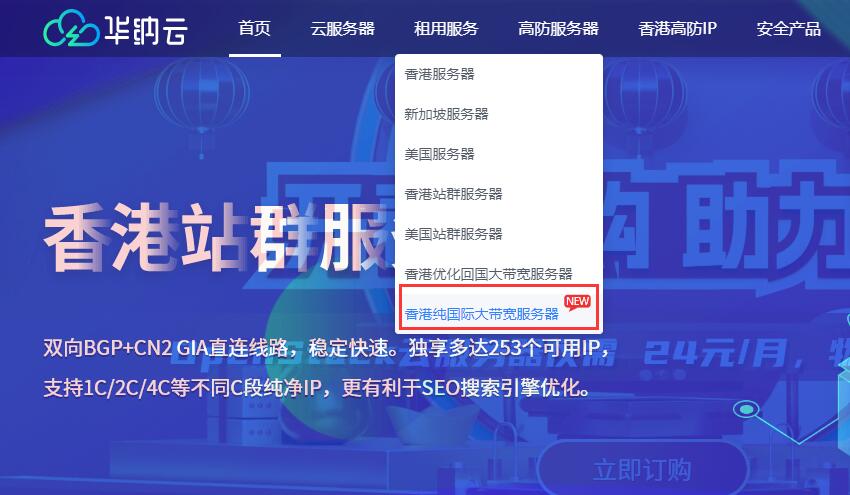 华纳云：香港独立服务器推荐 – 纯国际线路适合东南亚业务插图4