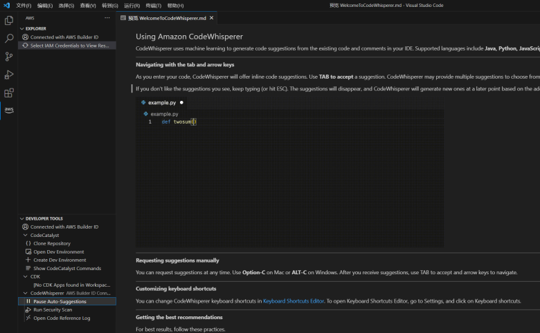 记录利用Amazon CodeWhisperer 内置VSCode编辑器辅助AI代码生成写作插图7